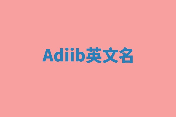 Adiib英文名