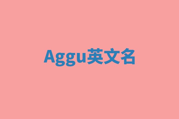 Aggu英文名 Aggu英文名