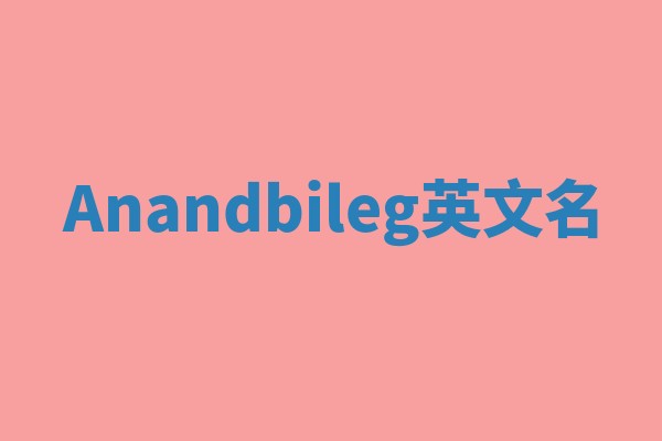 Anandbileg英文名