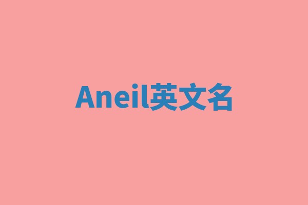 Aneil英文名
