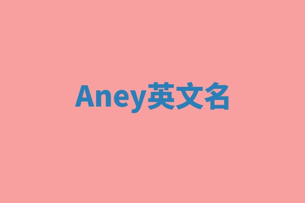 Aney英文名 Aney英文名