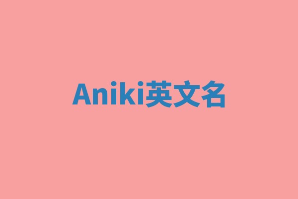 Aniki英文名