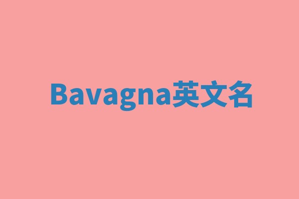 Bavagna英文名