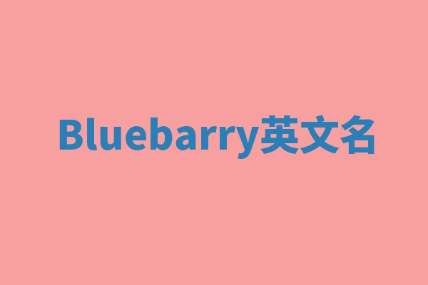 Bluebarry英文名 Bluebarry英文名