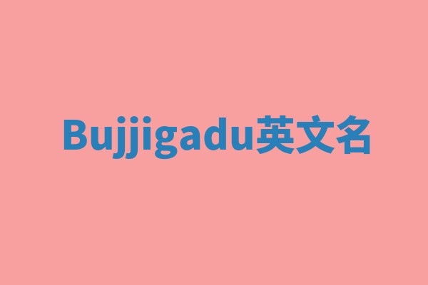 Bujjigadu英文名