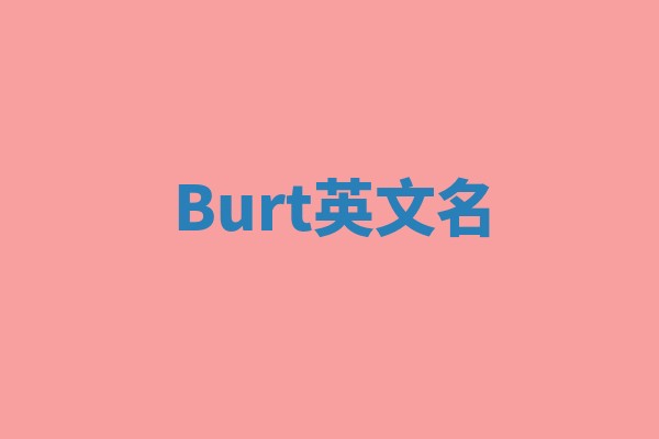 Burt英文名