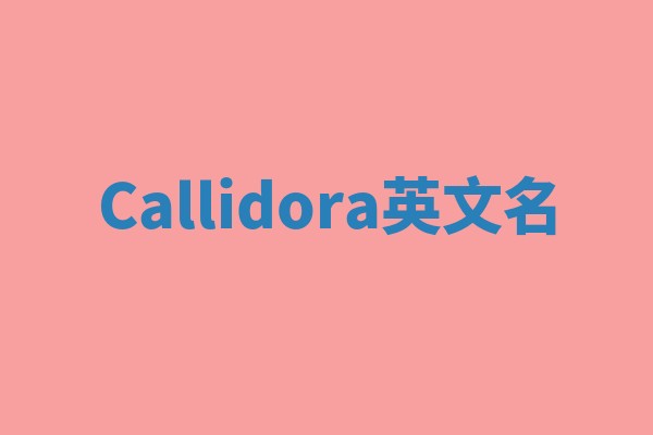 Callidora英文名