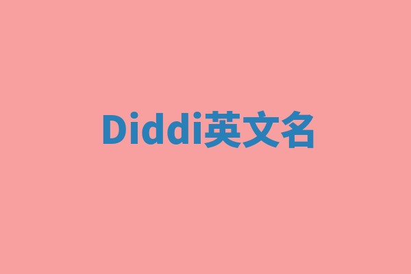 Diddi英文名 Diddi英文名