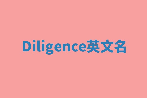 Diligence英文名