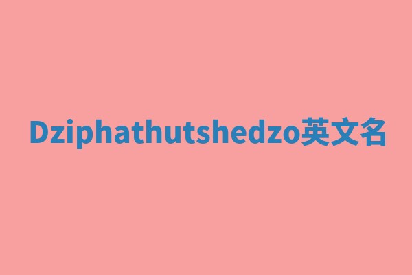 Dziphathutshedzo英文名