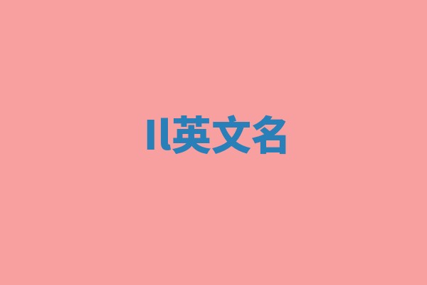 Il英文名