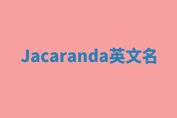 Jacaranda英文名
