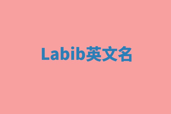 Labib英文名