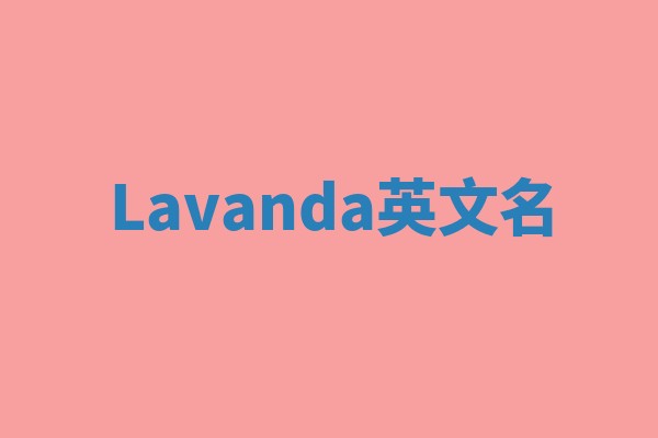 Lavanda英文名 Lavanda英文名