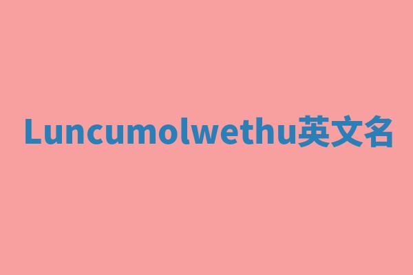 Luncumolwethu英文名 Luncumolwethu英文名