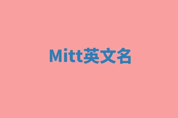 Mitt英文名 Mitt英文名