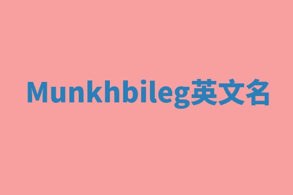 Munkhbileg英文名 Munkhbileg英文名