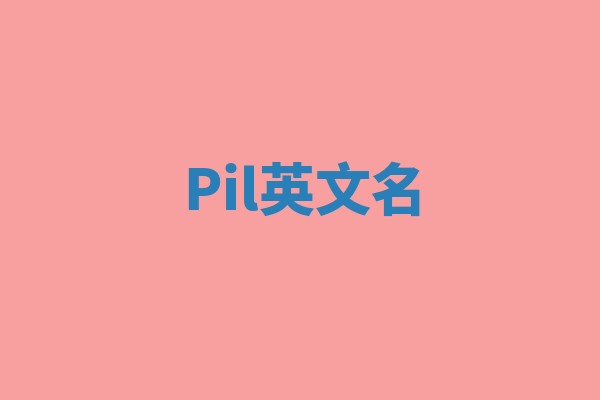 Pil英文名