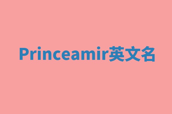 Princeamir英文名