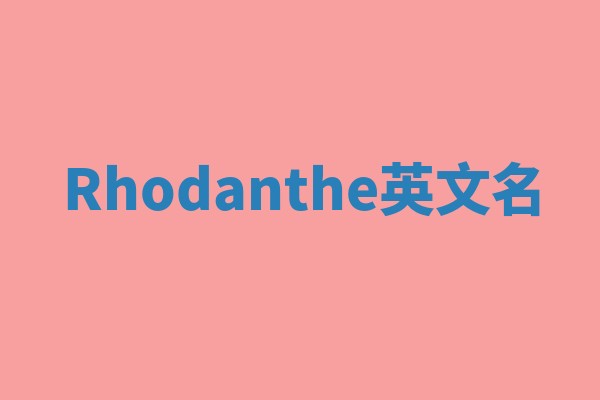 Rhodanthe英文名