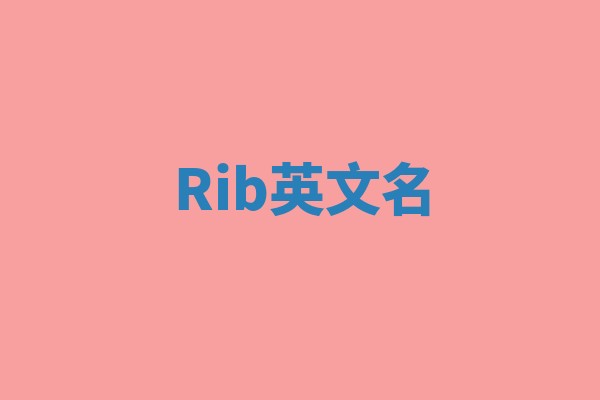 Rib英文名