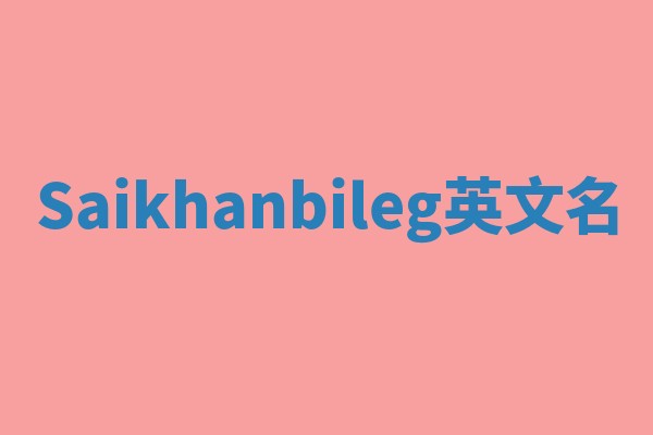 Saikhanbileg英文名