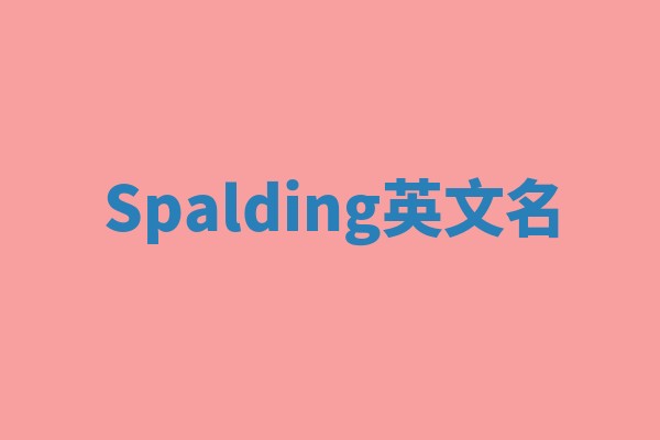 Spalding英文名