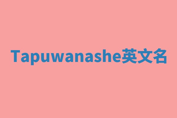 Tapuwanashe英文名 Tapuwanashe英文名