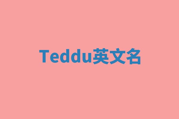 Teddu英文名