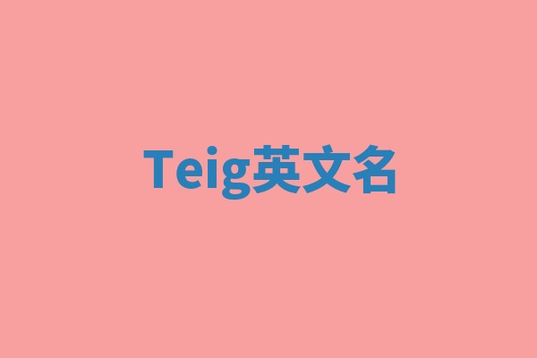 Teig英文名 Teig英文名
