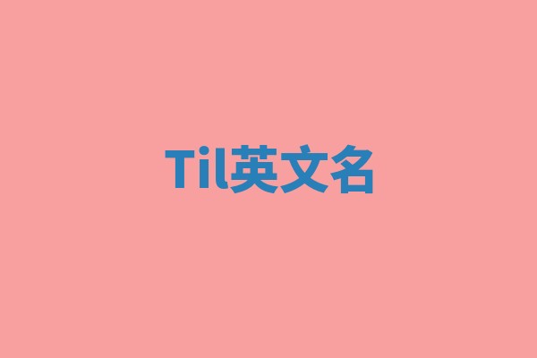Til英文名