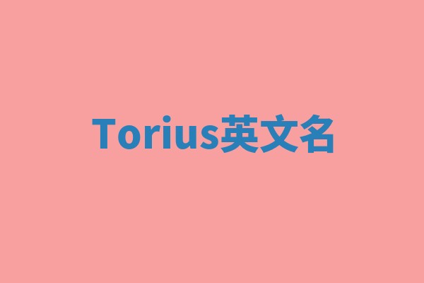 Torius英文名 Torius英文名