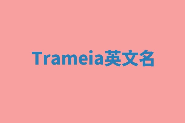 Trameia英文名 Trameia英文名