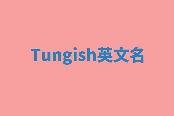 Tungish英文名