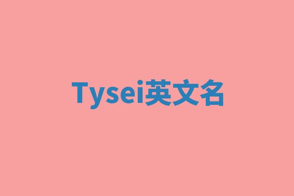 Tysei英文名