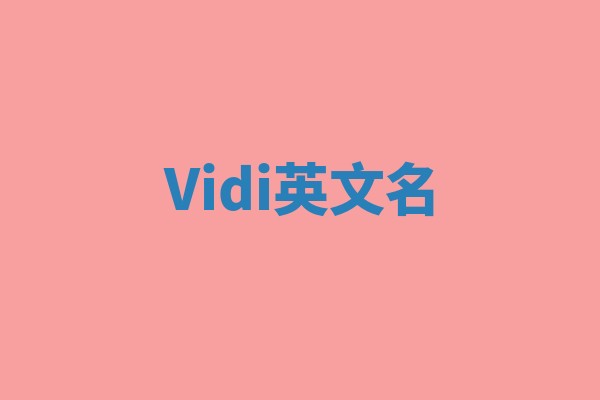 Vidi英文名