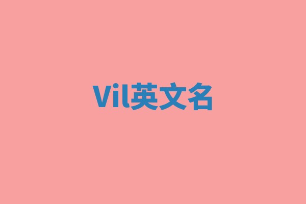 Vil英文名