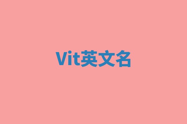 Vit英文名 Vit英文名