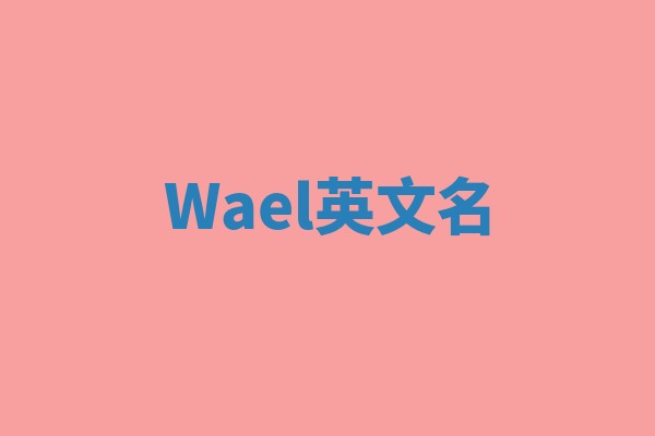Wael英文名