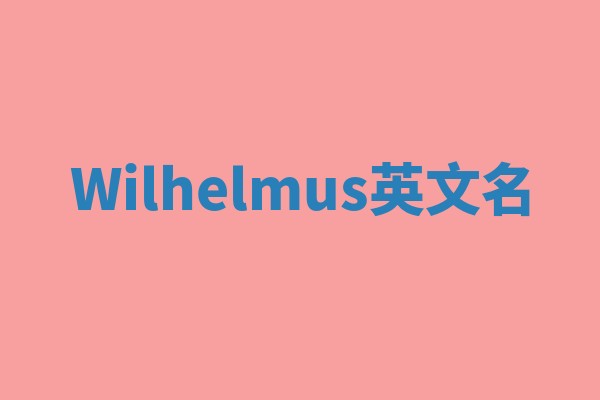 Wilhelmus英文名