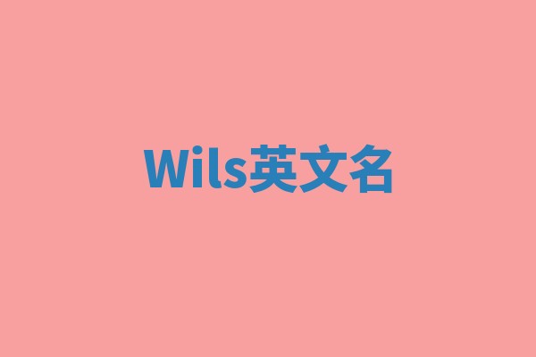 Wils英文名
