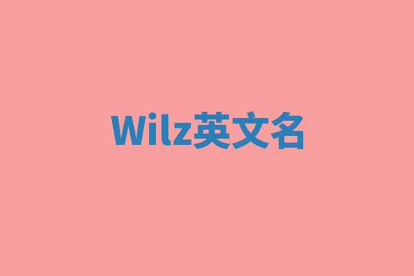 Wilz英文名