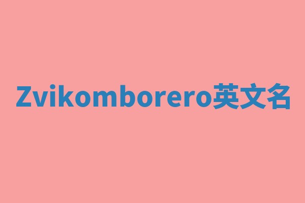 Zvikomborero英文名